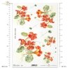 nasturcja, nasturcje, kwiat, ogród, łąka, wiosna, autorka grafiki Maria Kopeć, R914, nasturtium, flower, garden, meadow, spring, Kapuzinerkresse, Blume, Garten, Wiese, capuchina, flor, jardín, prado, primavera